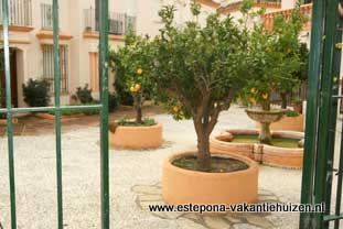 Estepona, Belgravia Club BC21